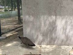 -秦皇岛野生动物园