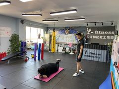 -悦健身私教工作室(双井店)