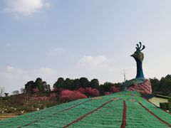 -秀丽东方