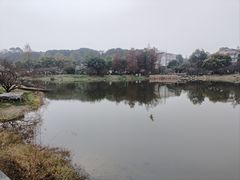 -陈麻婆豆腐(旗舰店)