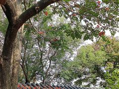 -顺峰山公园