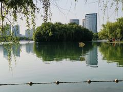 -天鹅湖体育公园
