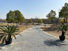 -盘龙城国家考古遗址公园