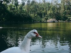 -暨南大学(珠海校区)