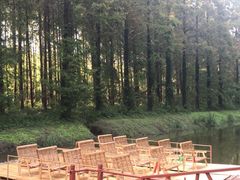 -黄海国家森林公园