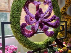 -杭州植物园