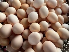 -马陆小张葡萄园农家乐