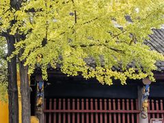 -成都市文殊院