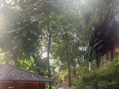 -大妙火锅·非物质文化遗产(东湖公园店)