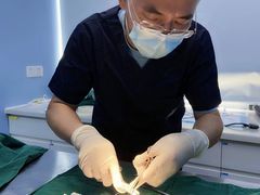 -关爱宠物医院·猫科中心·消化科(滨湖万达分院)