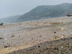-北岐滩涂