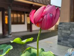 -锦溪古镇