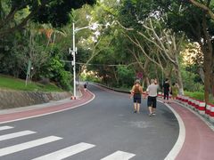 -仙岳公园