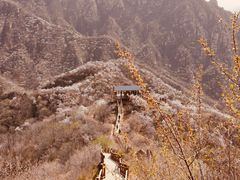 -大岭沟猕猴桃谷风景区