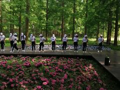 -黄海国家森林公园