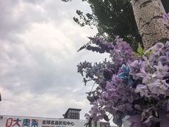 -盛京大奥莱(沈阳奥体店)