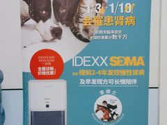 -中农国际动物医院24小时·猫科·骨科·急重症中心