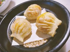 -点都德·毕德寮