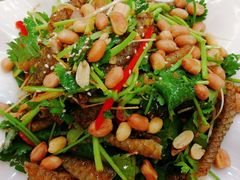 -九號渔港·蒸汽海鲜·粤菜茶点(八卦岭店)