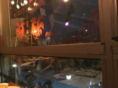 -Kitchen·Y洋厨房西餐厅(王府壹号店)