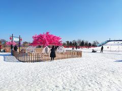-绿野森林乐园冰雪季