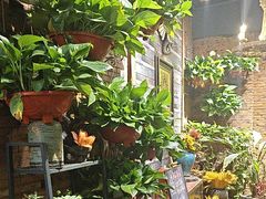 -紫藤燕语(兴澄银座店)