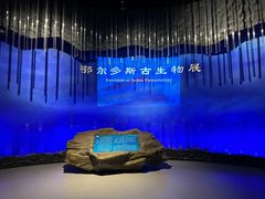 -鄂尔多斯博物馆