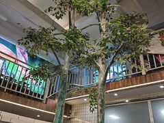 -菌乡缘·野生菌蒸汽鱼火锅(江边夜市店)