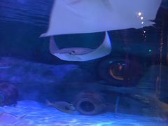 -沈阳海洋探索中心