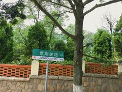 -八大关景区