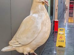 -琬苑鸽庄·川粤融合菜(解放碑总店)