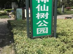 -神仙树公园