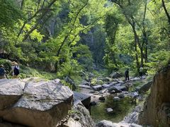 -木兰云雾山