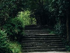 -黄山翡翠谷景区