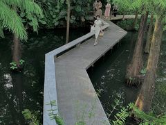 -广州兰圃