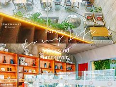 -了不起的考拉咖啡店(高新店)
