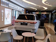 -深圳龙华星河COCO City(民治店)