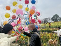 -三圣花乡旅游区