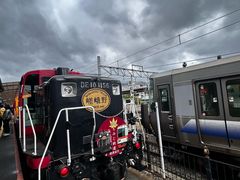 -岚山嵯峨野观光小火车