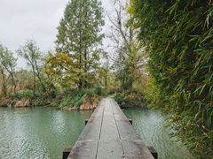 -西溪国家湿地公园