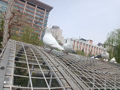 -泉城广场