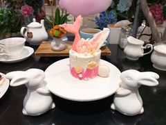 美人鱼重生-随心小姐