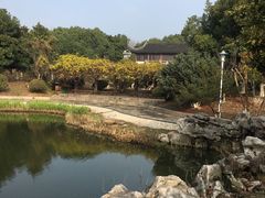 -花溪公园
