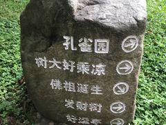 -瑞丽独树成林风景区