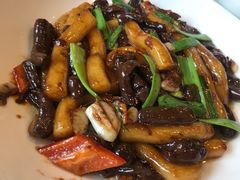 -食家鸽园