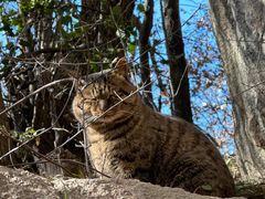 -终南山南五台景区