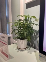 点击看大图 -爱儿美儿童摄影(奥森公园店)