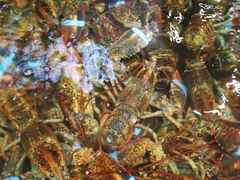-盒马鲜生(皇庭广场店)
