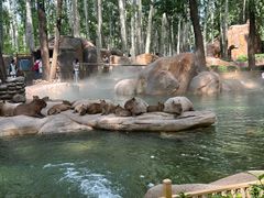 -北京野生动物园