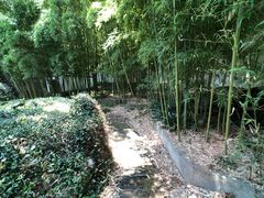 -松江清真寺